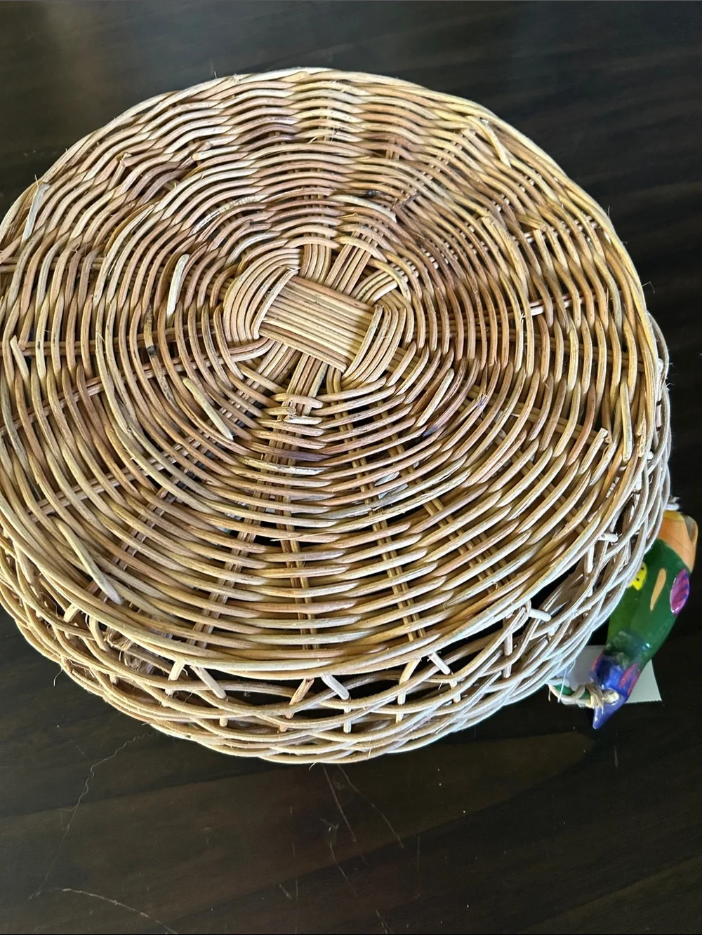 Woven Wicker Divided Serving Basket with Green Trim and Colorful Fish Accents